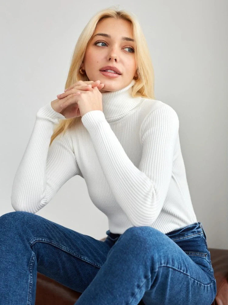 Women's Ribbed Turtleneck Sweater Long Sleeve